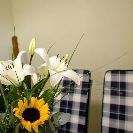 Danijela Apartment *
