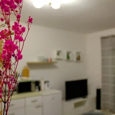 Danijela Apartment *